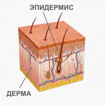 1.jpg 1.jpg