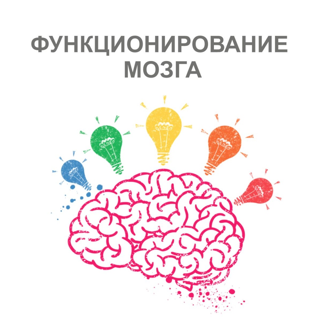 Витамин В6